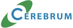 Группа компаний "Церебрум"